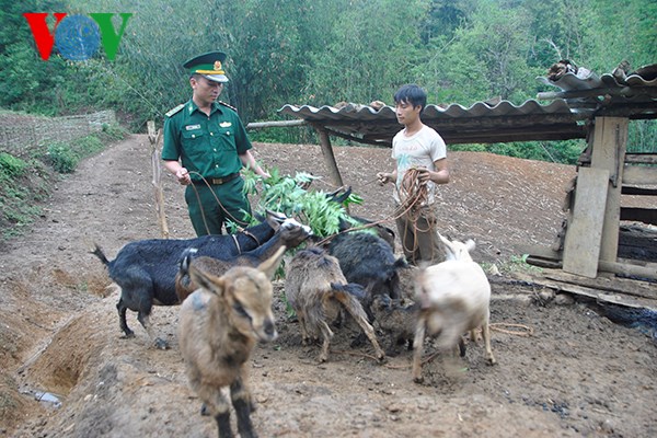 Những người lính quân hàm xanh giúp người dân vùng biên xóa đói giảm nghèo. (03/6/2017)